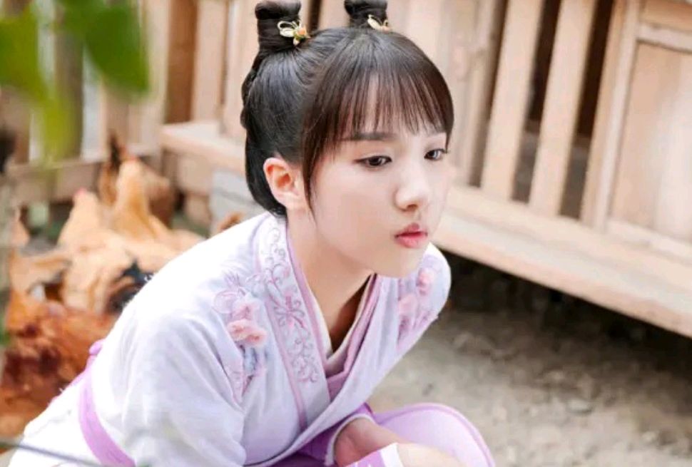 2020年收视率最高的网剧有哪些,2020收视率最高十部网剧