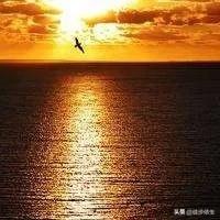 打碎日本技术*锁封**，中国碳素鱼竿重大突破，这样的鱼竿谁都想要