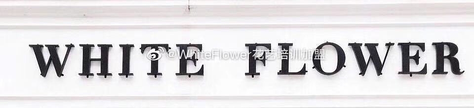 whiteflower闂ㄥ簵,whiteflower