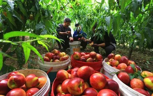 长三角城市群最佳旅游线路,长三角示范区旅游详细攻略
