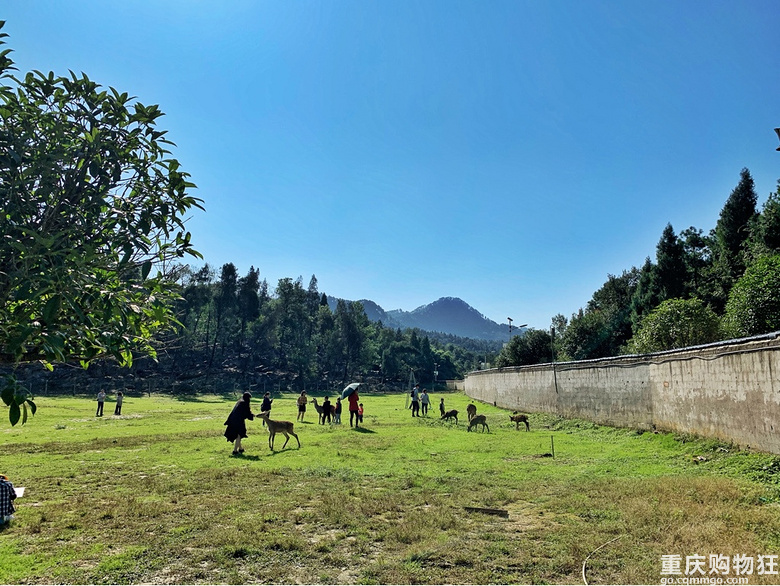 巴南三天两夜游玩攻略,下次去重庆哪里好玩