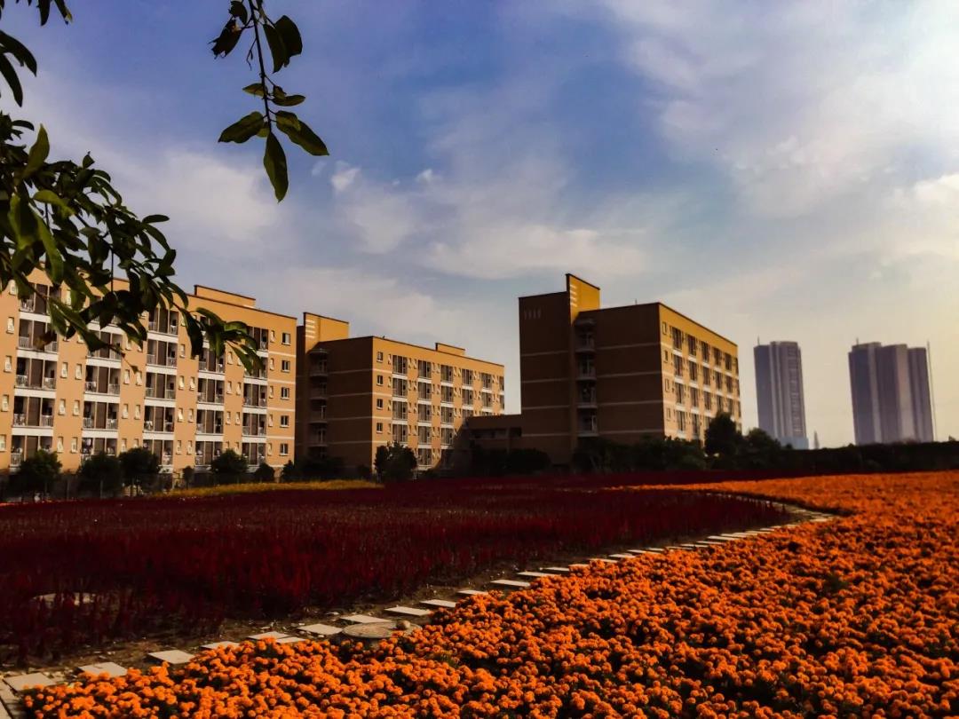 成都的大学豪华宿舍,成都好看的大学宿舍