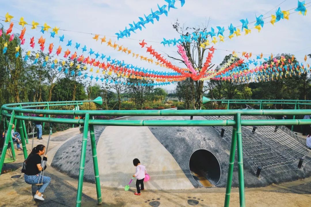 成都周末遛娃游推荐,遛狗公园成都