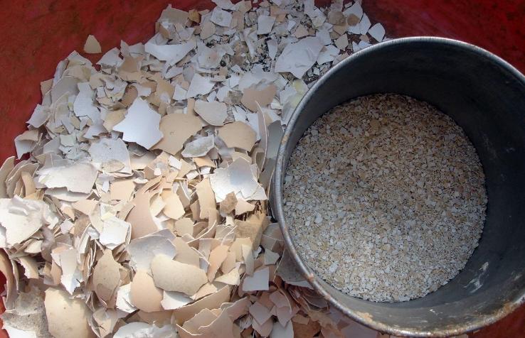 塑料桶养花的正确方法,塑料瓶子养花注意事项