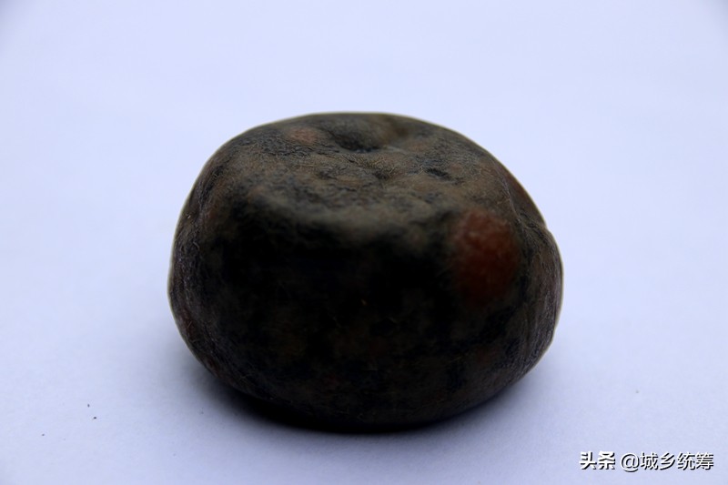 孙先生喜获鸡蛋一般大小的“鸡宝”