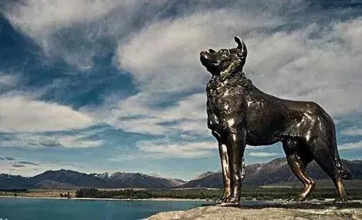 新西兰南岛有哪些城镇的湖,新西兰姊妹湖在哪里