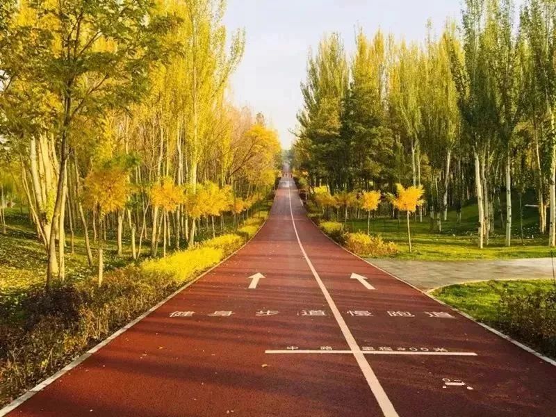 美爆了！让全世界听到，我的名字叫白银！！！