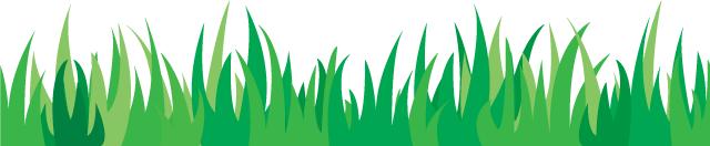 昆明西南联大附属学校招生方案,昆明足球学校招生简章