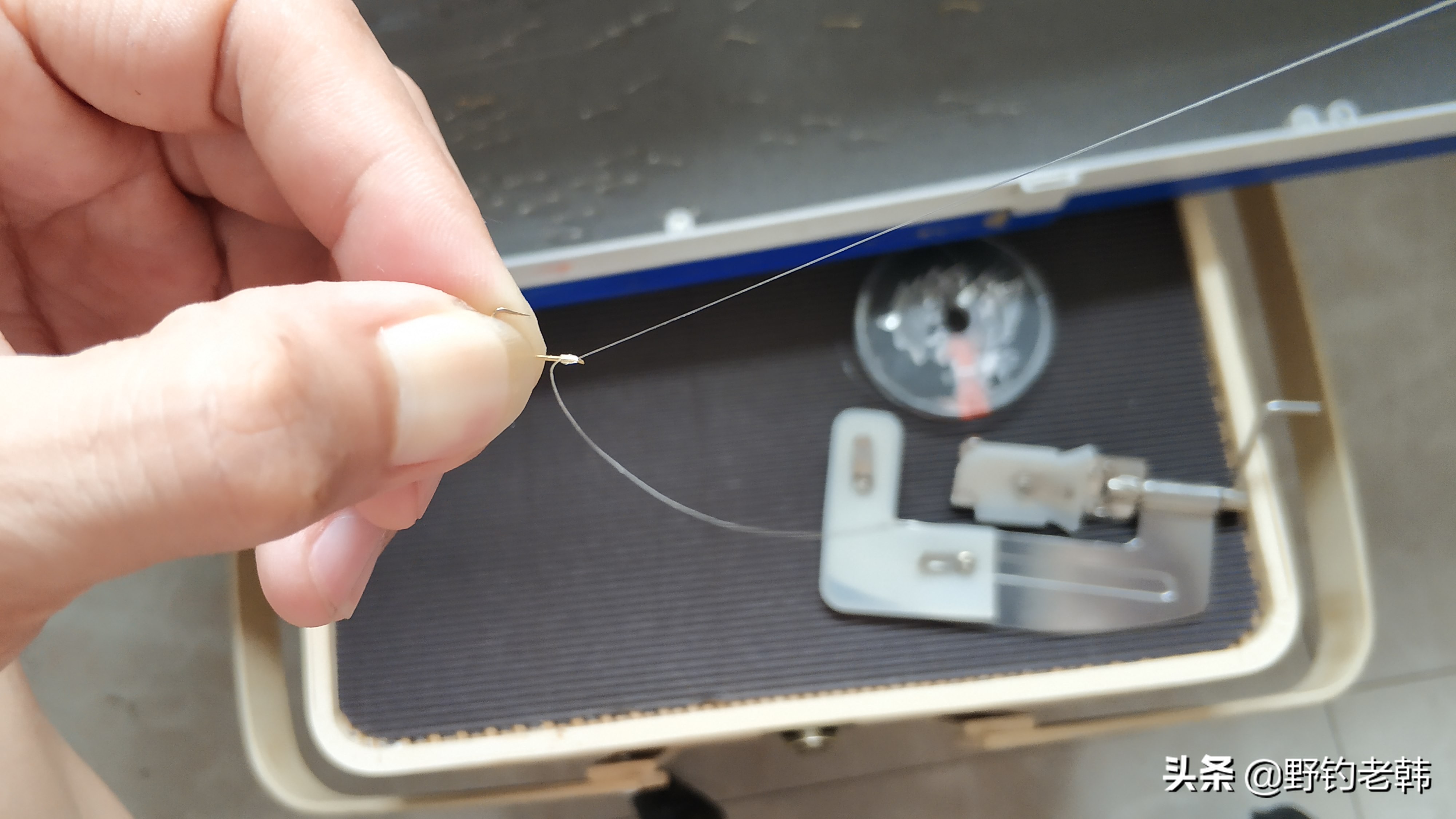 子线怎么绑法钓鱼率最高,子线绑多长容易上鱼