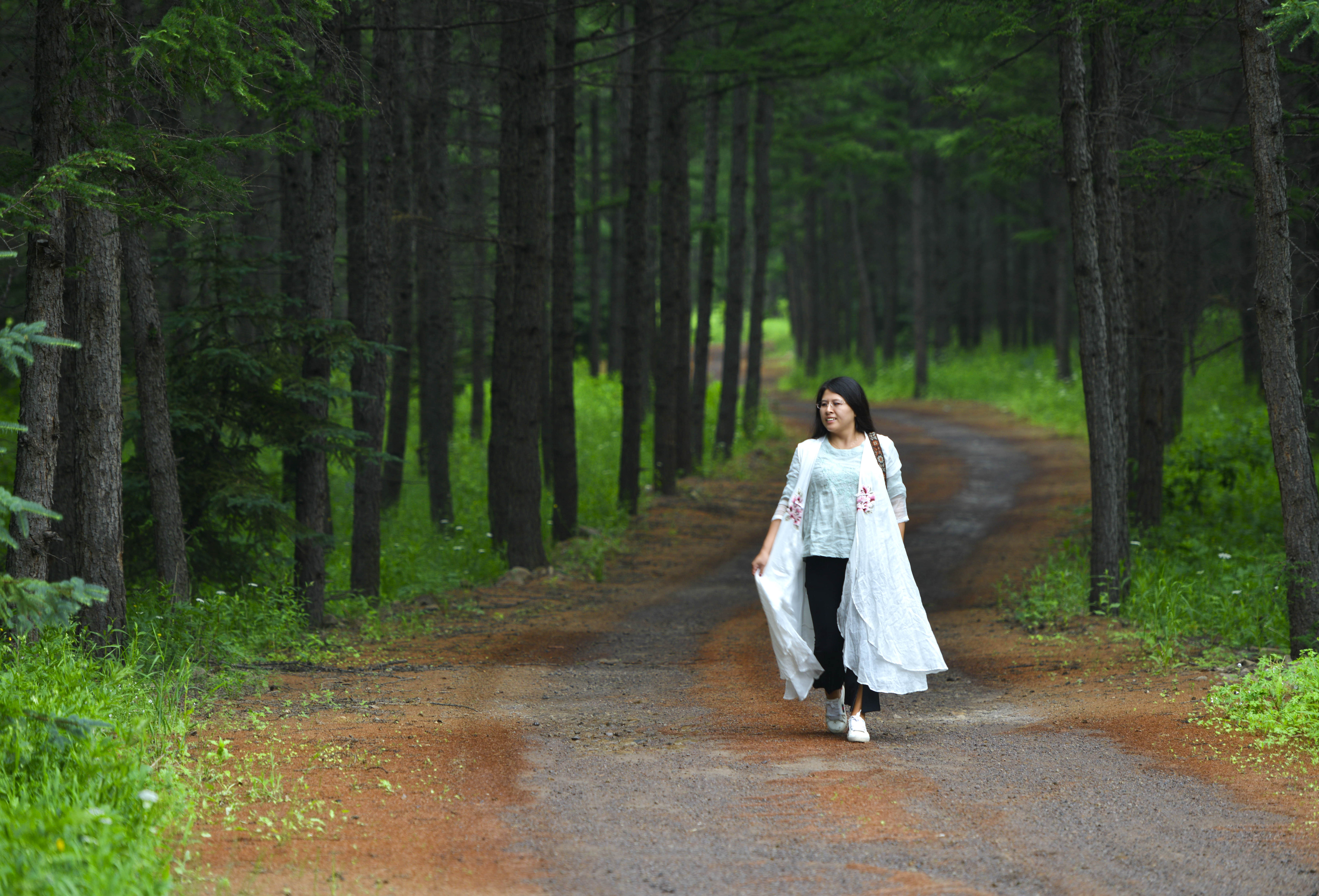 坝上草原照片高清图片,坝上草原风景图100张
