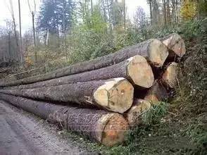 各种木材硬度排行,木材的密度和硬度对照表