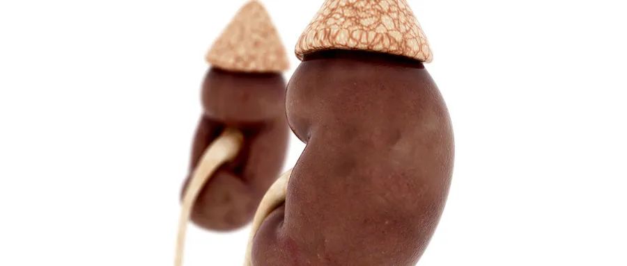 皮肤痒痒痒，一查竟是尿毒症！肾不好的七大信号，别忽视