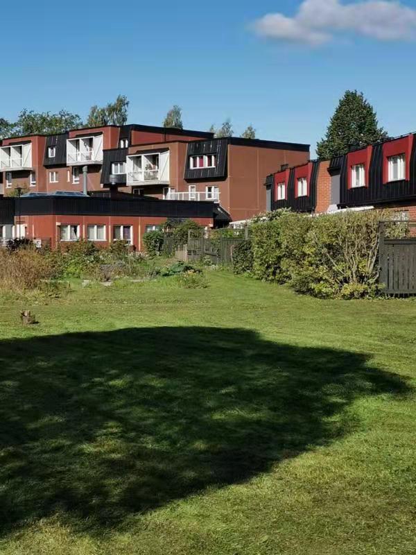 Day32：赫尔辛基→斯德哥尔摩波罗的海邮轮之上