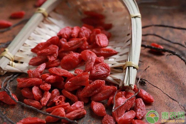 今日枸杞新货多少钱一斤,青海枸杞行情最新价格