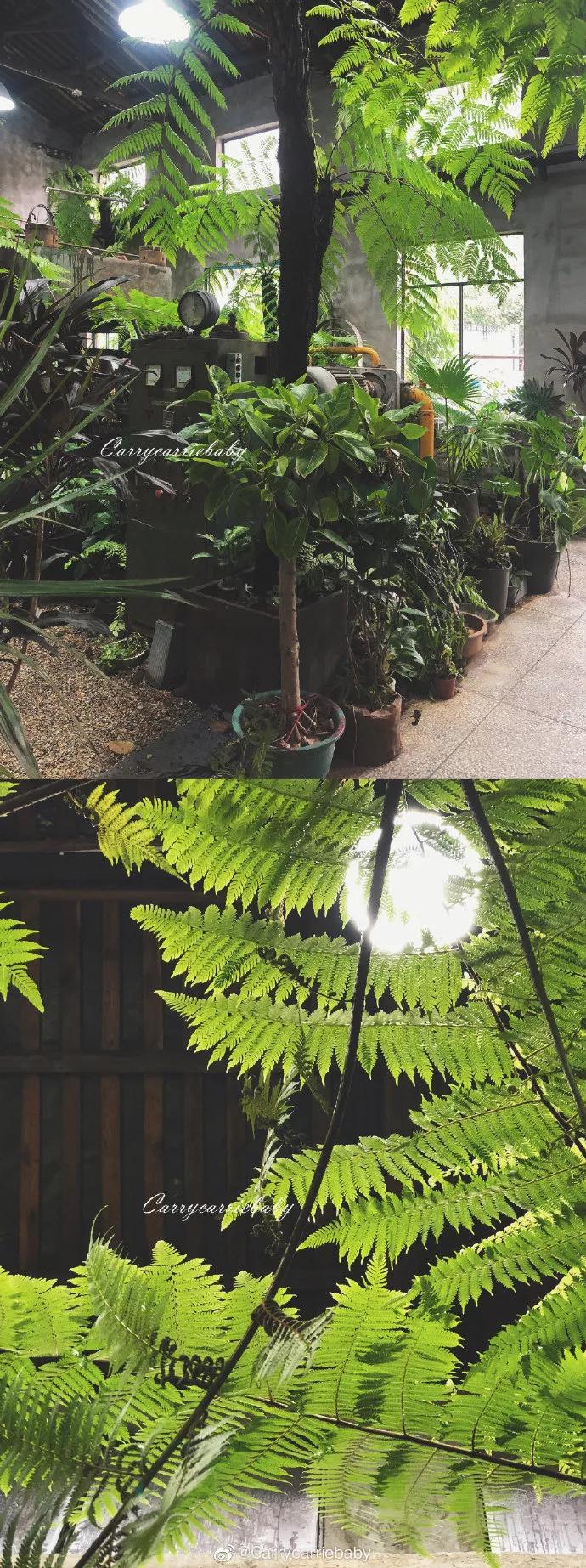 福州复古咖啡探店,福州高逼格咖啡店