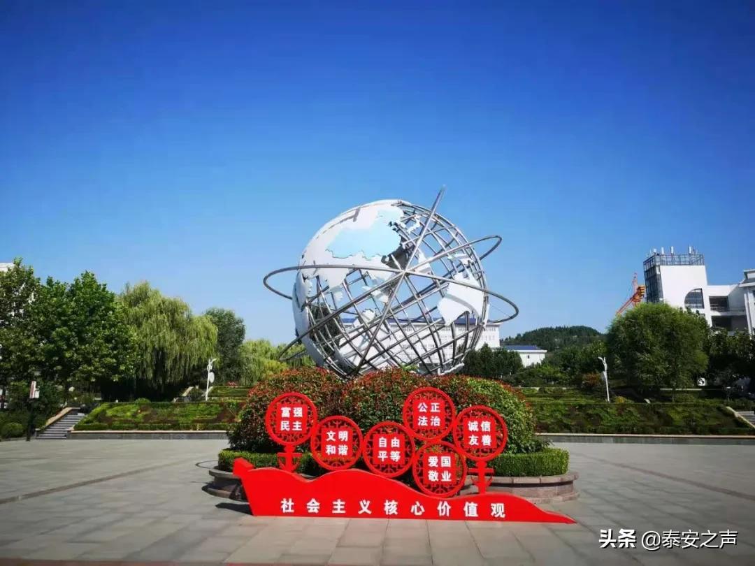 泰山护理职业学院是单招吗,泰山护理职业学院单招招生简章