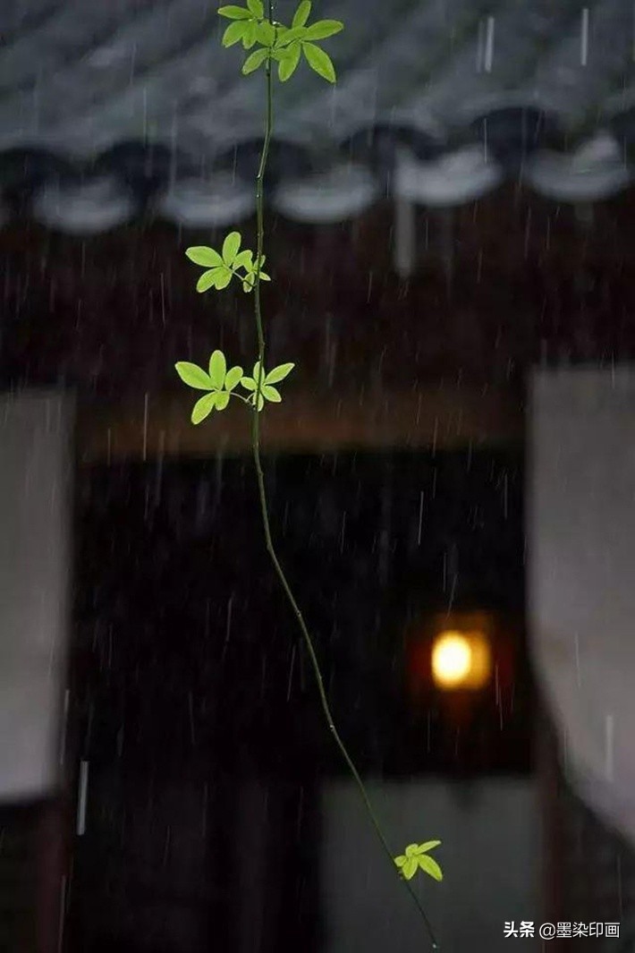 清明节拍摄风景图片,清明节全家踏青照片如何拍摄