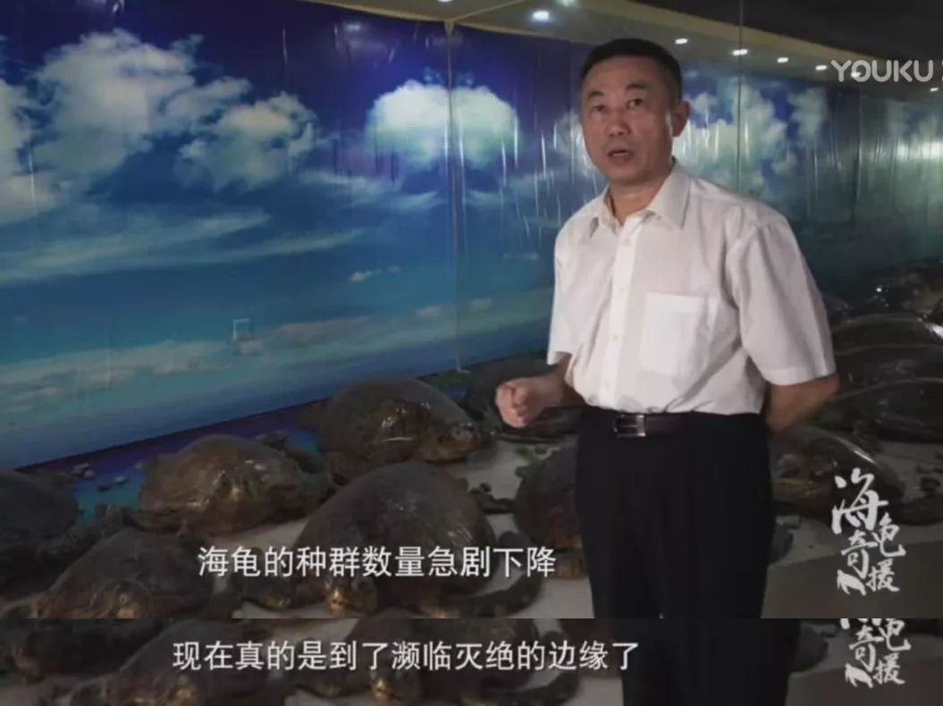 彭于晏我最需要的时候你在哪里,彭于晏我最需要他的时候他在哪里