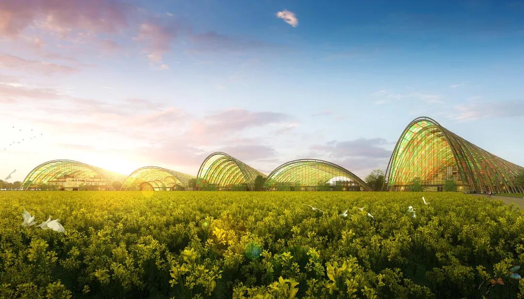 高甜来袭浙农林,高甜来袭国产