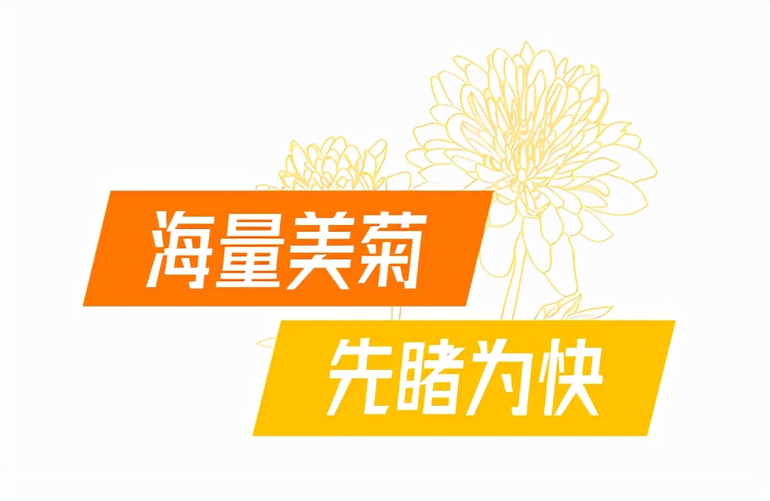 金秋时节菊展赏菊,趁着周末逛菊展