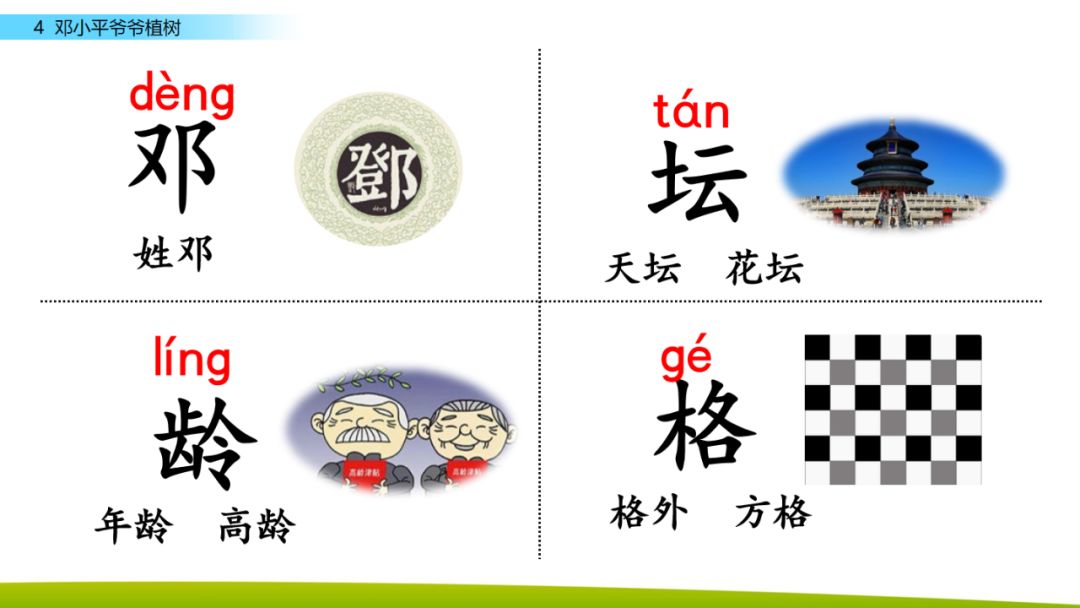 部编版二年级下册语文第4课《*小平邓**爷爷植树》知识点+图文讲解