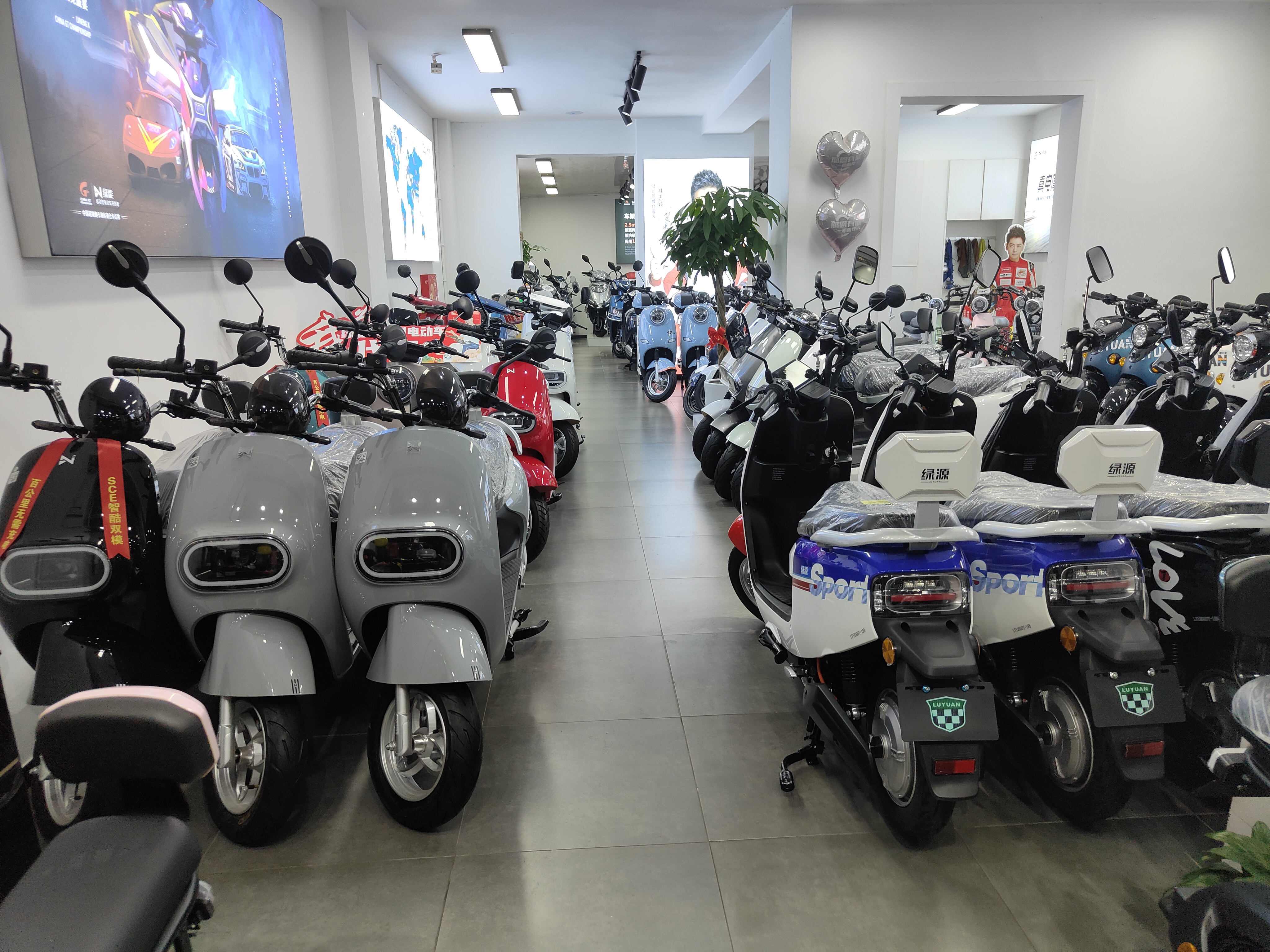 骑上小熊引擎迷你GO：2499，不烧骨油