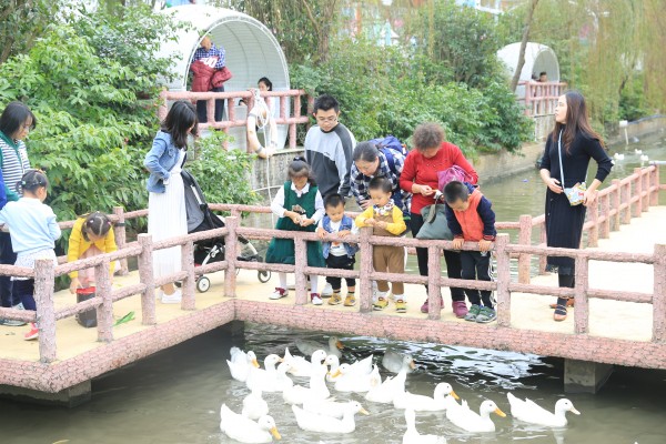 森林花海亲子游攻略,森林公园亲子游推荐