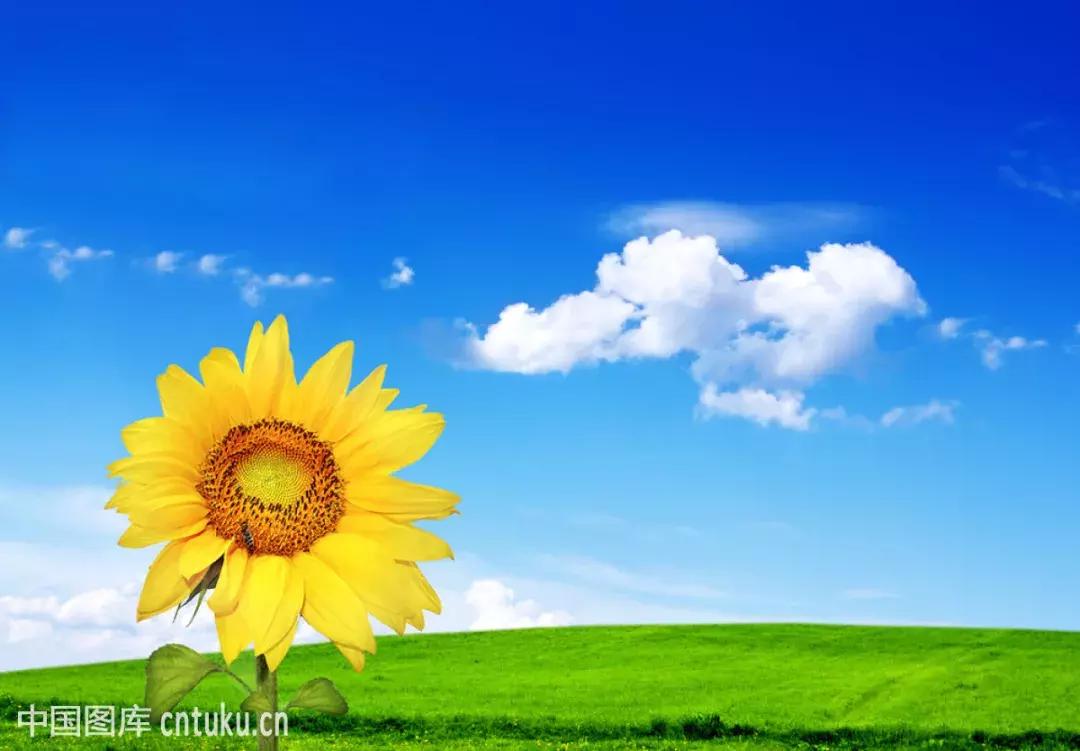 富有人生哲理的短文阅读,影响一生的100个哲理故事有哪些