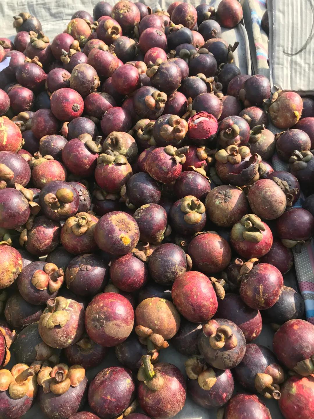 周边最便宜的大集在哪里,10元一两的大集