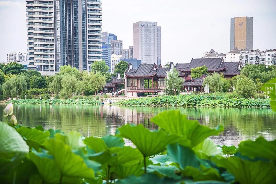 武汉必打卡排行榜,武汉十大打卡地