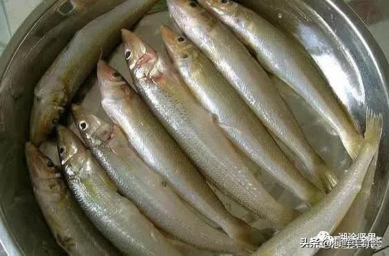 十种最便宜的海鱼,常见海鱼价格排名大全