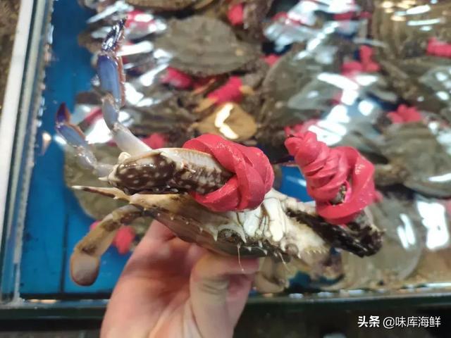 海鲜市场里你不知道的猫腻,三亚海鲜市场加工有猫腻吗