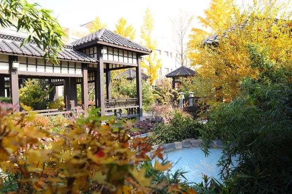 冰雪嘉年华温泉游玩攻略,北京可以泡温泉滑滑梯的地方