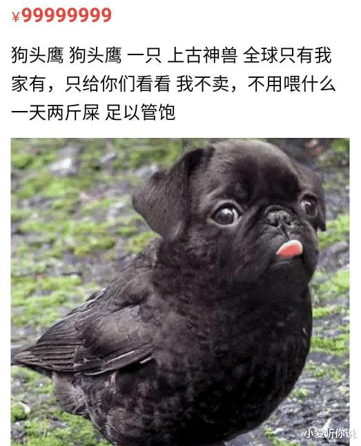 老公最喜欢去的水果店，果然很新鲜啊～笑到肚子疼