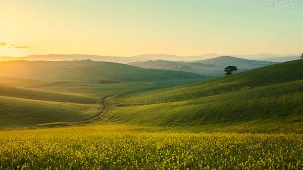 xps13二合一2022,xps139310二合一