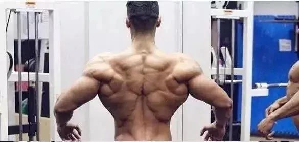 健身房关门半个月不练,健身不带弹力绳子