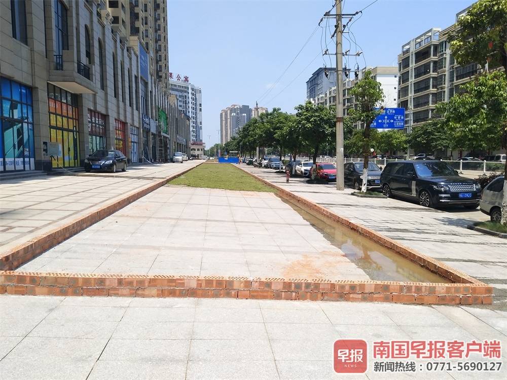 开发商地砖上种草皮被质疑突击,开发商原有的绿化被业委会乱种