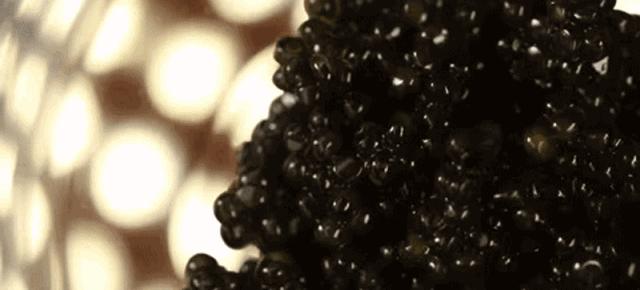 鱼子酱有那么奢侈吗,贵的和便宜的鱼子酱真有差距吗