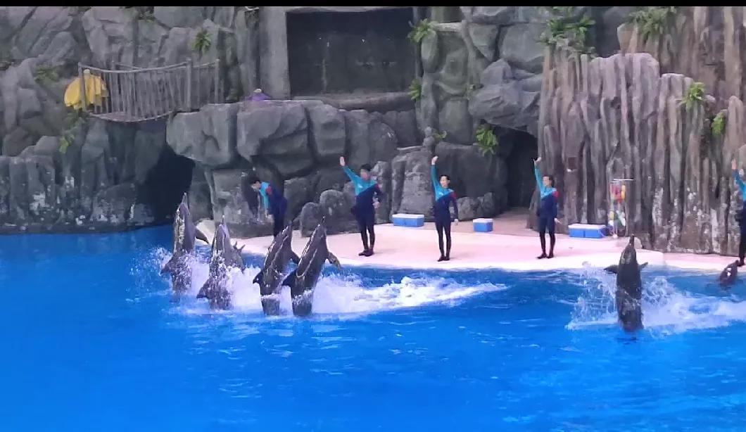 珠海长隆海洋王国一天路线图,珠海长隆海洋王国一日游详细攻略