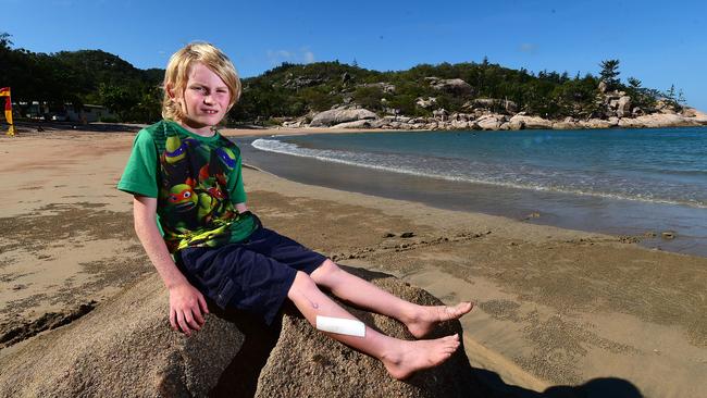 身长才50厘米的达摩鲨究竟有多狂,巨齿鲨有多恐怖一口能咬死鲸鱼