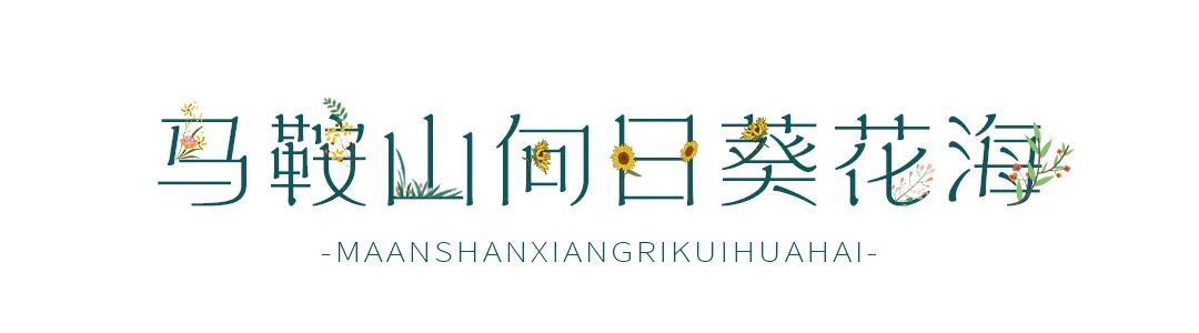 抓住春天的尾巴鸟语花香,抓住花海的尾巴