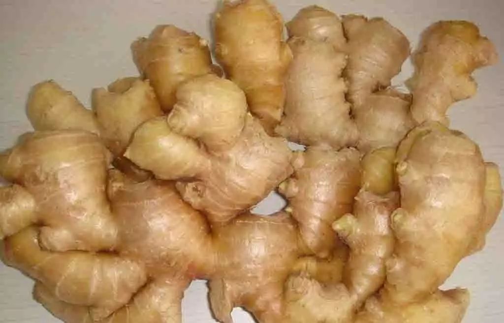 2020年12月份各地生姜批发价格,中国生姜网今日生姜价格