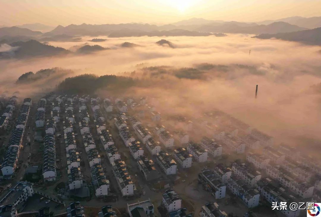 摄影师盘点2020年照片,摄影师们珍藏了50年的图