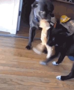 愚人节防套路指南搞笑,每日一笑那些笑疯的神操作