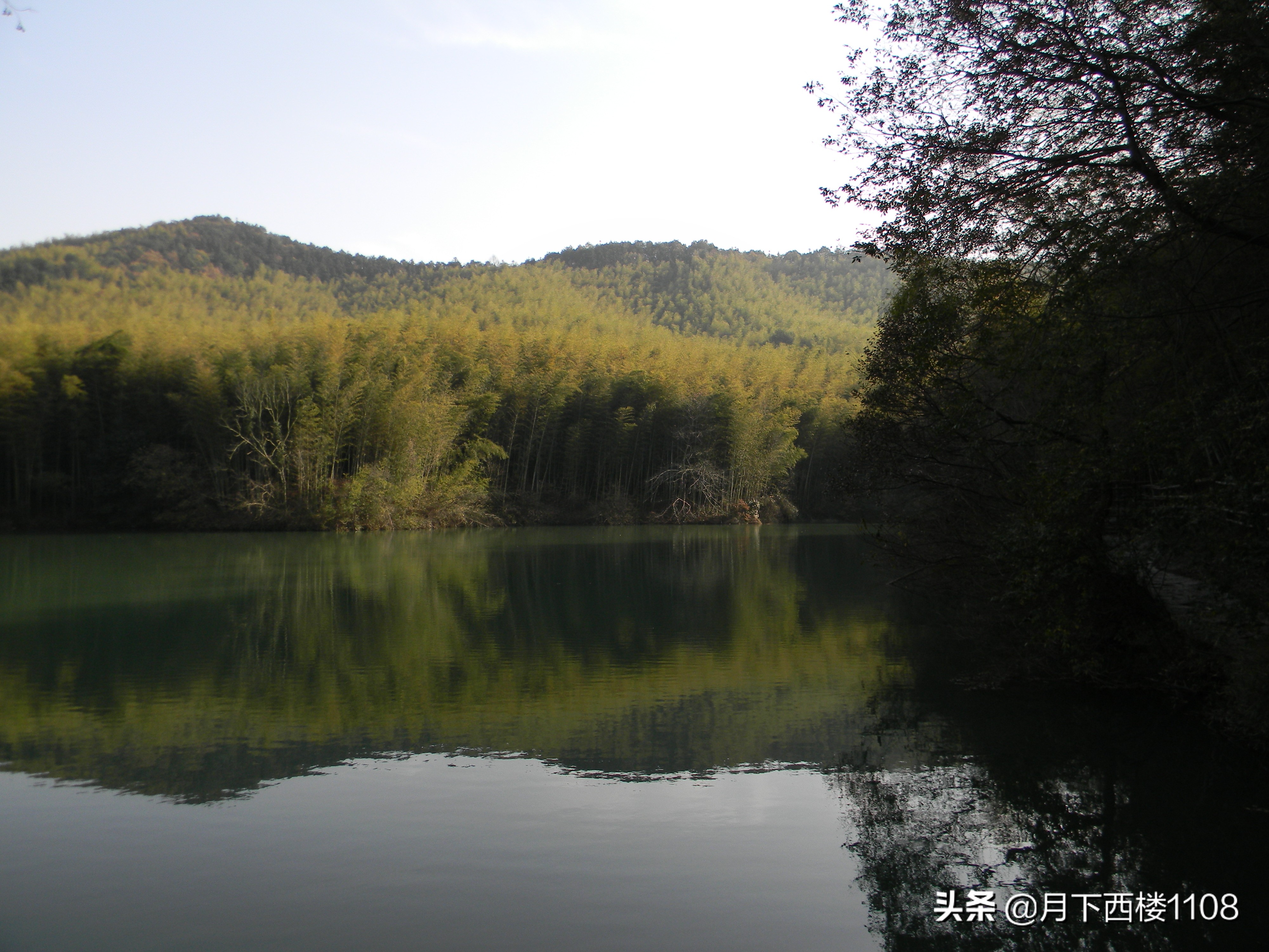 江苏南山竹海天然氧吧,南京石塘竹海风景区开放了吗