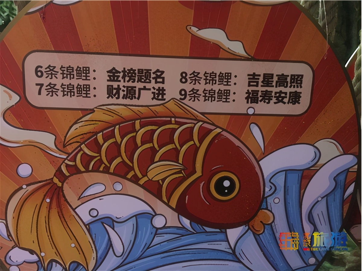 北京动物园海洋馆锦鲤,北京海洋馆锦鲤