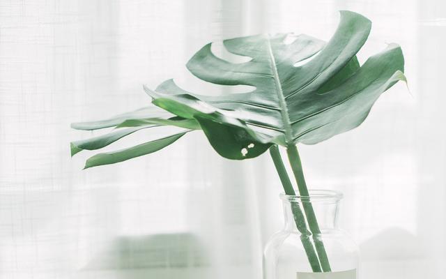 女人有哪些适合做的小生意,适合女性一个人做的小生意有哪些