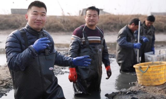 甲鱼大补元气,甲鱼大补不能吃太多