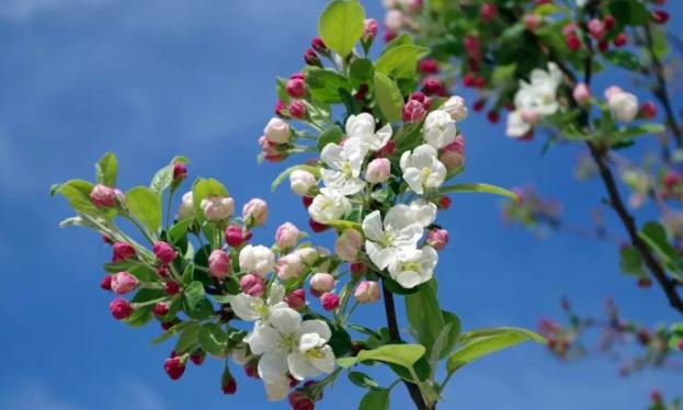 怎么抠图教你几种好用的抠图方法,如何抠图推荐三种常用抠图方法