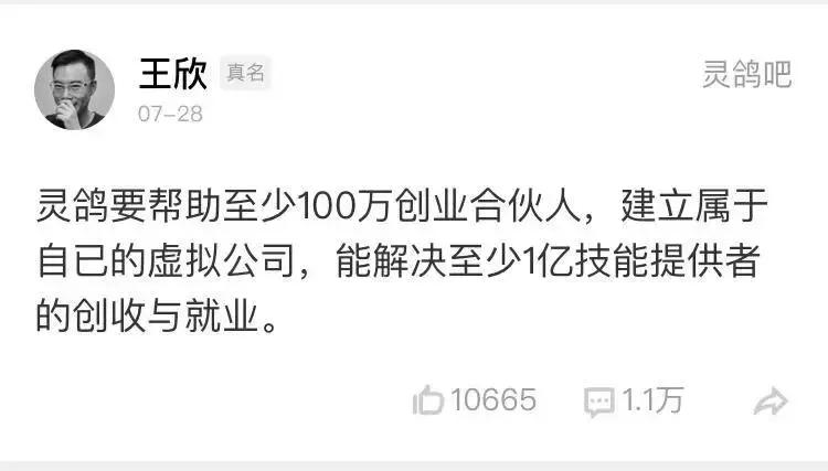 王欣介绍灵鸽,王欣灵鸽